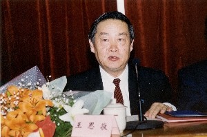 王思敬